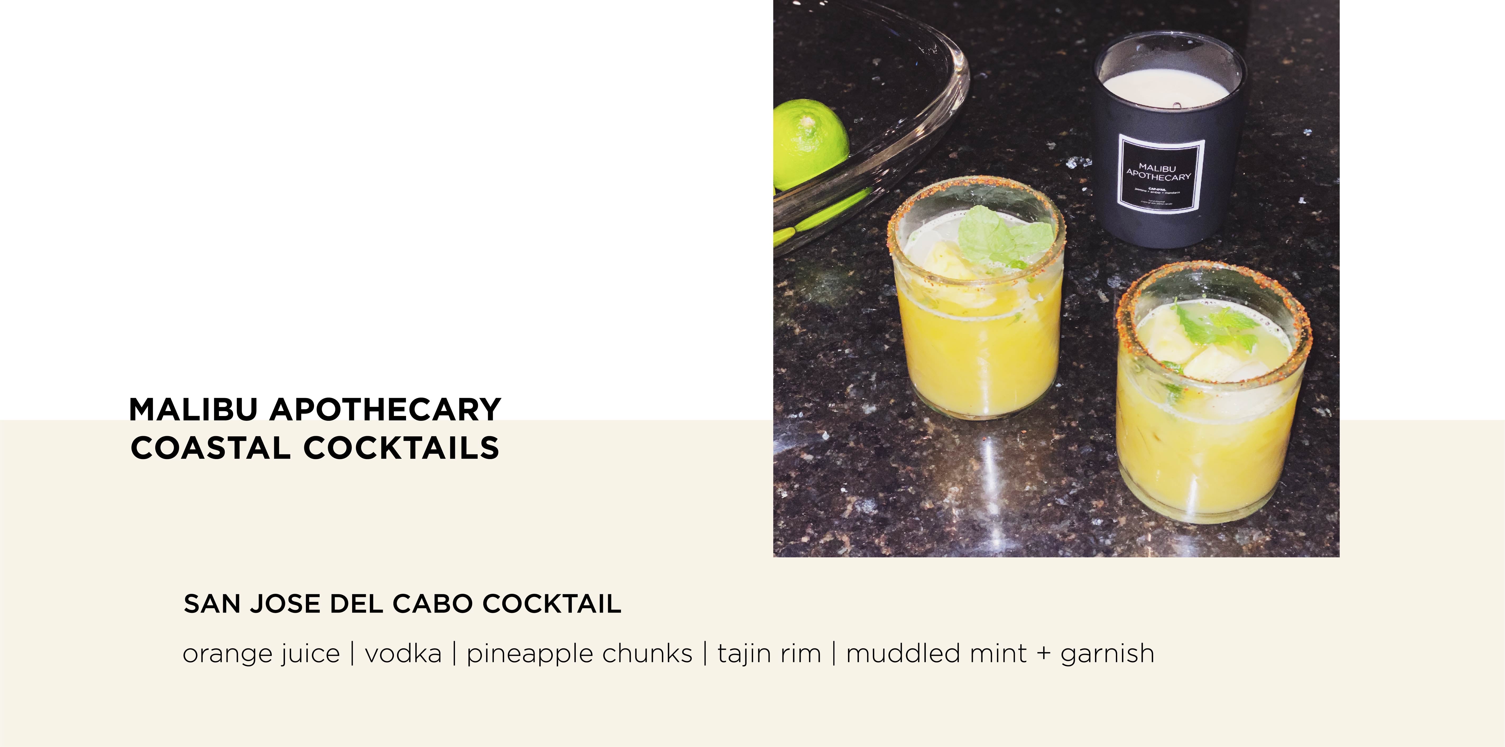 Clean Craft Coastal Cocktail inspired by San Jose Del Cabo, Mexico with Orange Juice, pineapple chinks, tajin rim, and muddled mint for garnish
