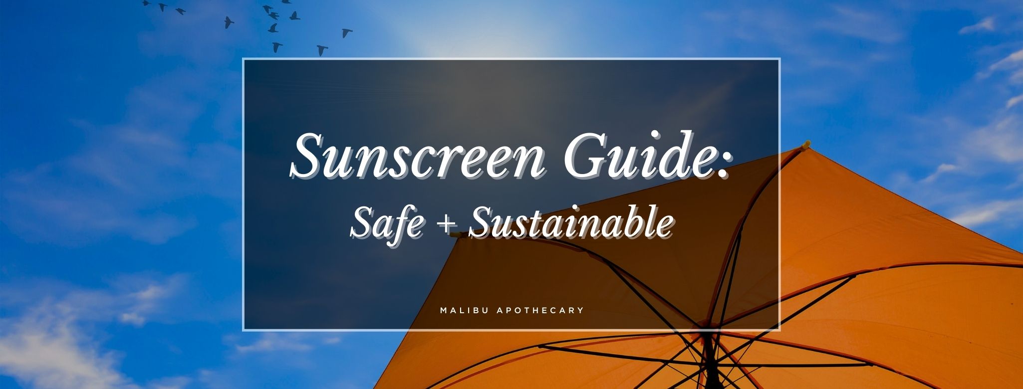 Safe and Sustainable Sunscreen buying guide for the most healthy sunscreens for our body and the planet