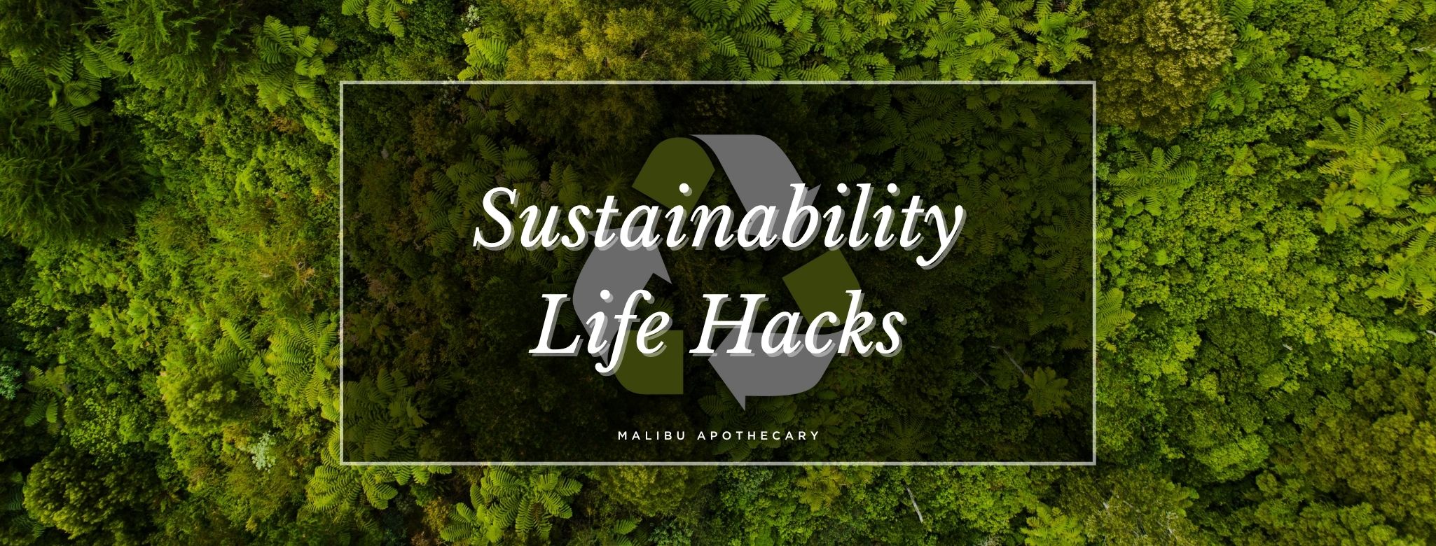 5 Lifestyle Hacks to be more sustainable including reusing, reducing, recyling and upcycling!