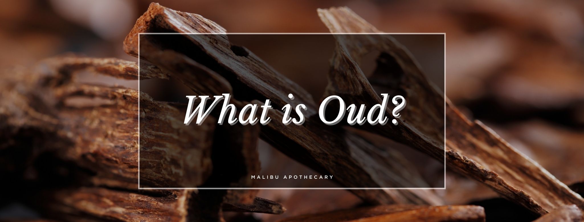Close-up of rich, dark agarwood pieces used to produce oud fragrance – hero image for Malibu Apothecary’s blog explaining what oud is and what it smells like