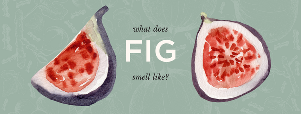 What does fig smell like?