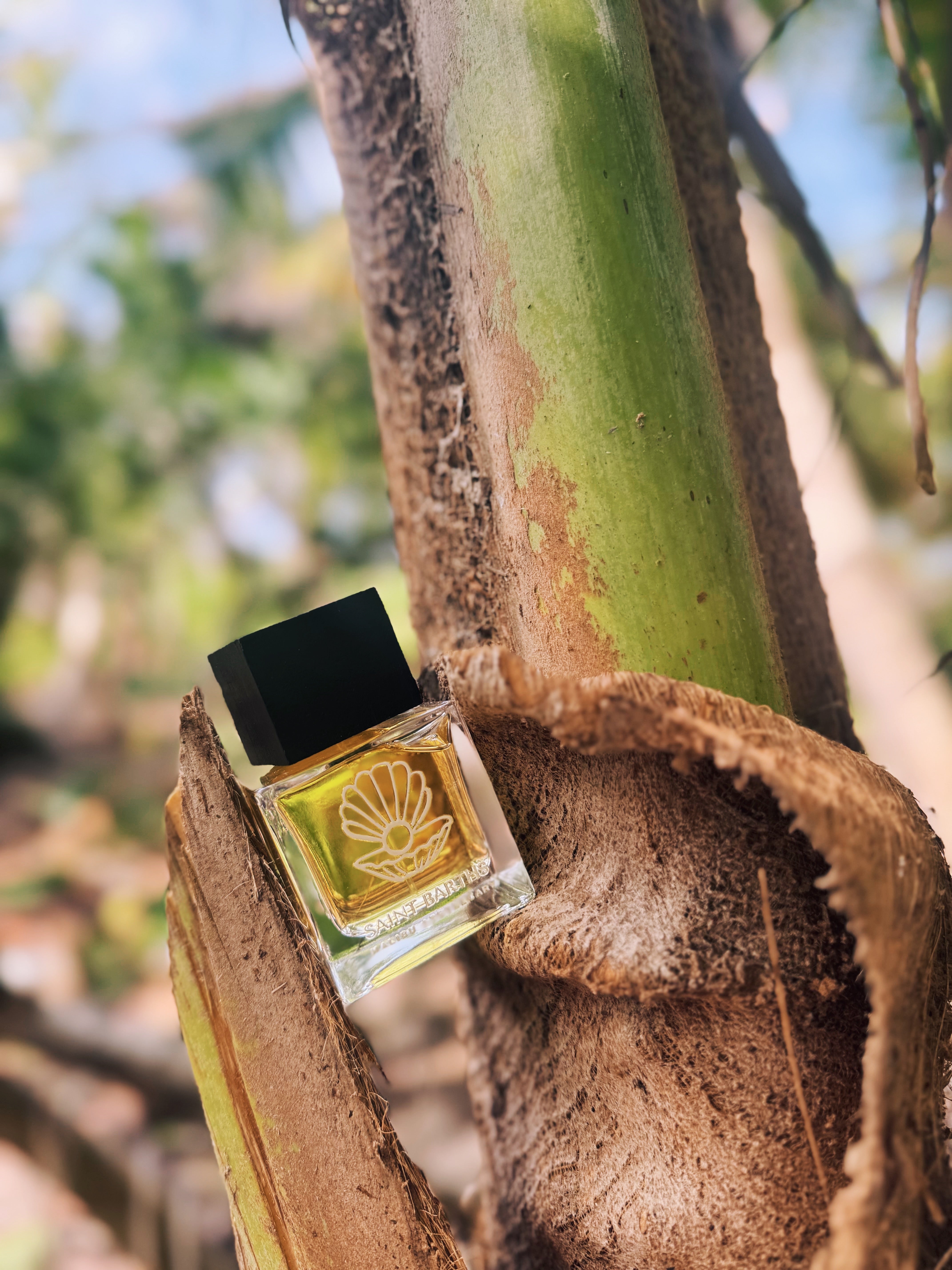 50mL | 1.7fl oz Eau de Parfum