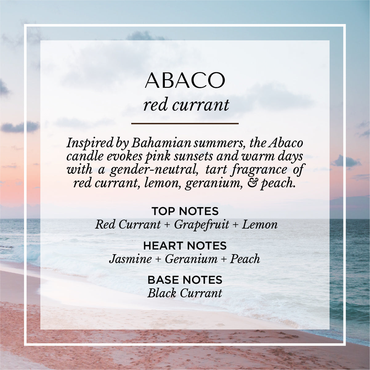 Abaco red currant scent description card. A bright, gender-neutral fragrance inspired by Bahamian summers with top notes of red currant, grapefruit, and lemon; heart notes of jasmine, geranium, and peach; and a base note of black currant. Set against a serene coastal background evoking pink sunsets and warm island breezes.