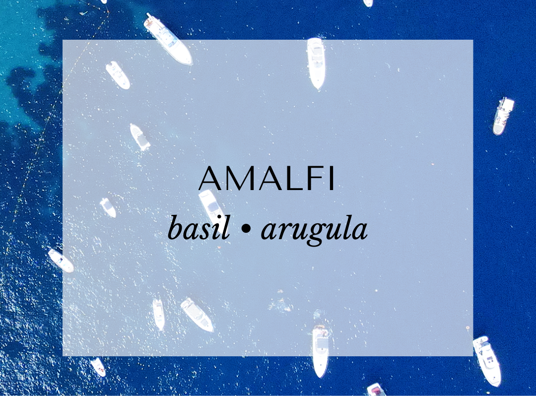 Amalfi candle scent card by Malibu Apothecary featuring yachts floating on the deep blue Amalfi Coast. Fragrance notes include bergamot, lime, cassis, arugula, basil, cinnamon, clove, rose, and garden vines. A fresh herbal and citrus-forward fragrance inspired by Italy’s Amalfi Coast, crafted with clean-burning coconut and soy wax.
