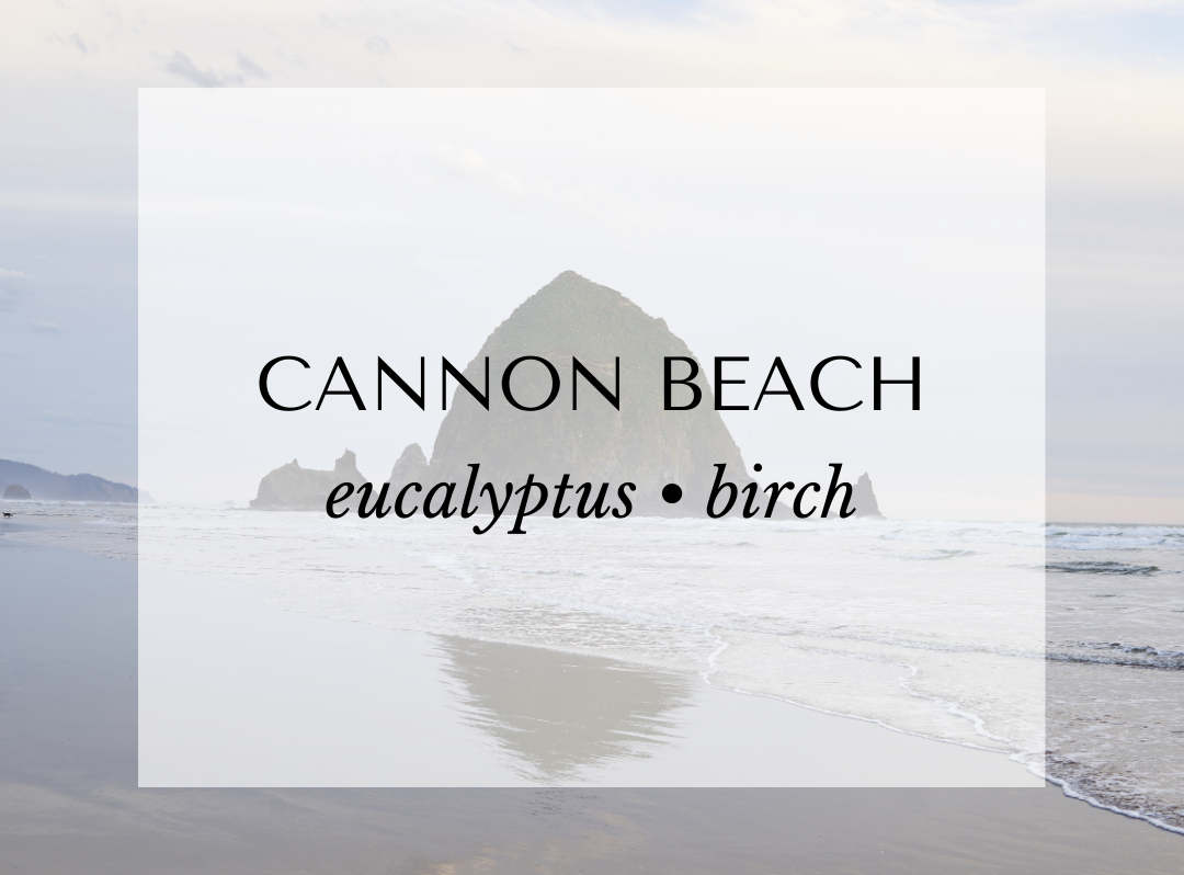 Cannon Beach scent card featuring eucalyptus and birch fragrance notes. A fresh, coastal-inspired scent profile with eucalyptus and mint top notes, a woody heart of birch, cypress, and pine, and a warm base of tonka bean and smoke. Oceanfront background highlighting the rugged Oregon coast.
