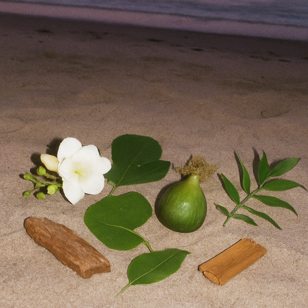 formentera scented candle with notes of fig leaf, jasmine, patchouli, vetiver