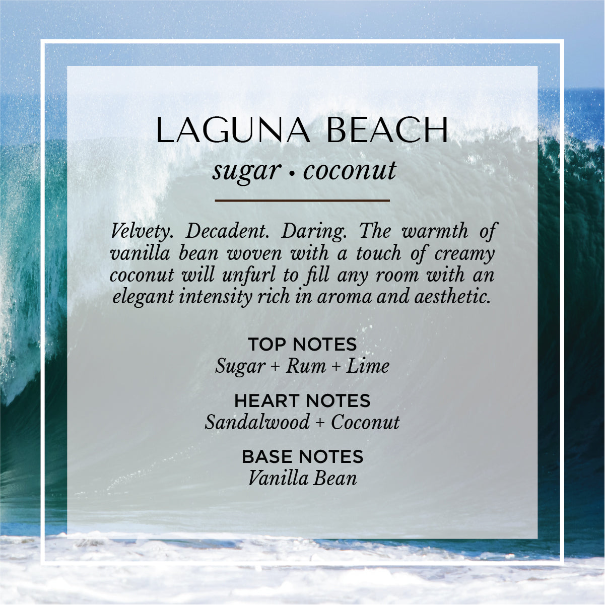 Laguna Beach coconut and sandalwood scent description card. A creamy, sun-soaked fragrance with notes of coconut milk, sandalwood, vanilla, and driftwood. Set against a golden California coastline, evoking relaxed beach days, warm breezes, and coastal luxury.