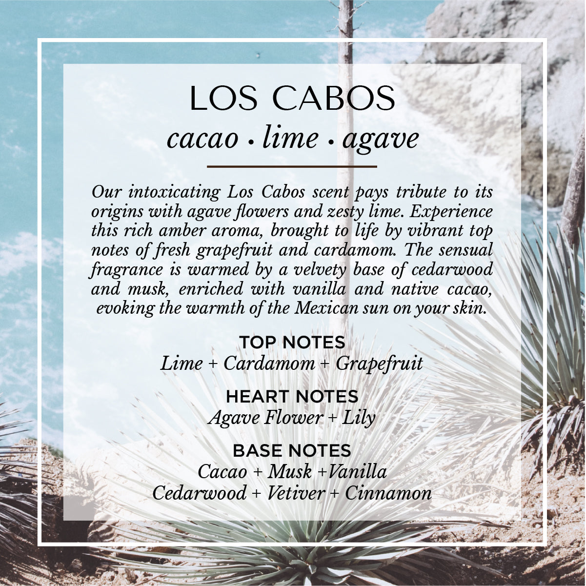 Los Cabos teakwood and vanilla scent description card. A warm, spiced fragrance with top notes of citrus peel and cardamom; heart notes of teakwood and sheer white florals; and base notes of amber, musk, and vanilla. Set against a desert-meets-ocean backdrop, evoking golden sunsets, coastal heat, and Baja luxury.