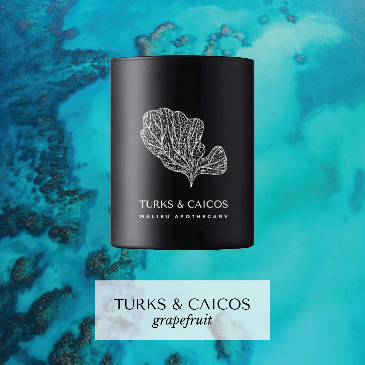 Turks & Caicos votive candle with coral graphic and grapefruit scent over turquoise ocean reef, made with all natural coconut and soy wax.
