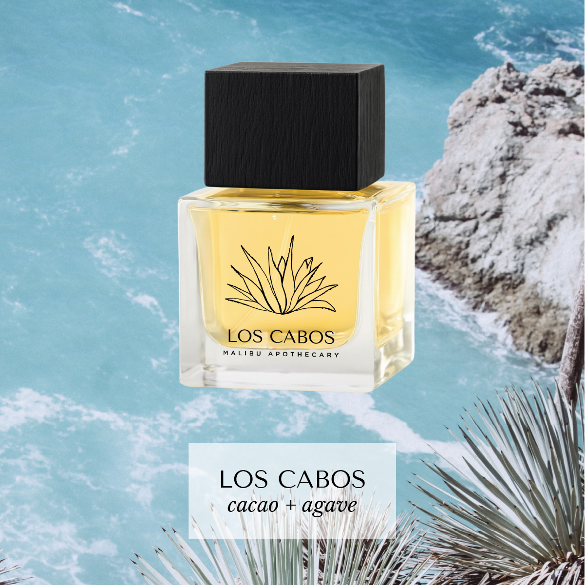 50mL | 1.7fl oz Eau de Parfum