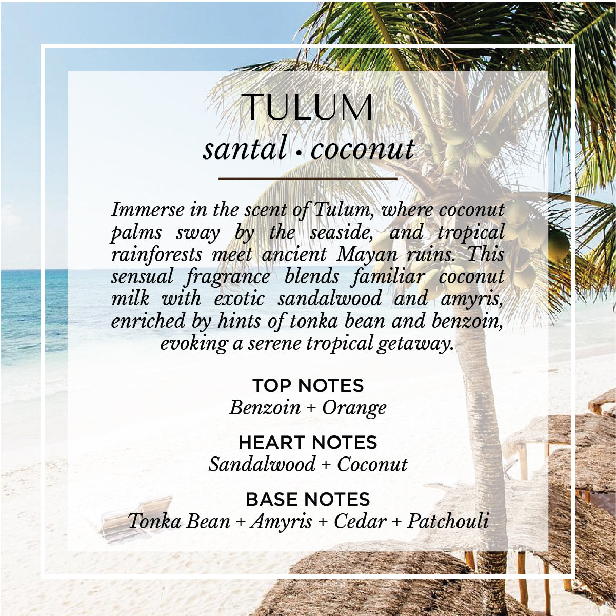 Tulum santal and coconut scent description card. A tropical coastal fragrance with top notes of benzoin and orange; heart notes of sandalwood and coconut; and base notes of tonka bean, amyris, cedar, and patchouli. Set against a sunlit Tulum beach with palms, evoking warm sand, bohemian travel, and relaxed tropical vibes.