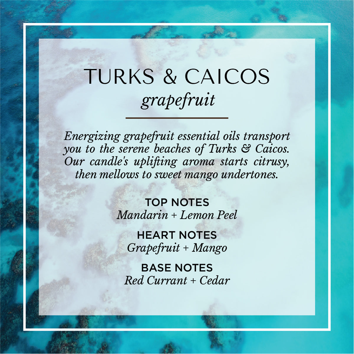 Turks & Caicos gardenia and citrus scent description card. A tropical, floral fragrance with notes of frangipani, gardenia, citrus blossom, and white musk. Set against a turquoise shoreline, evoking island breezes, lush blooms, and warm Caribbean air.