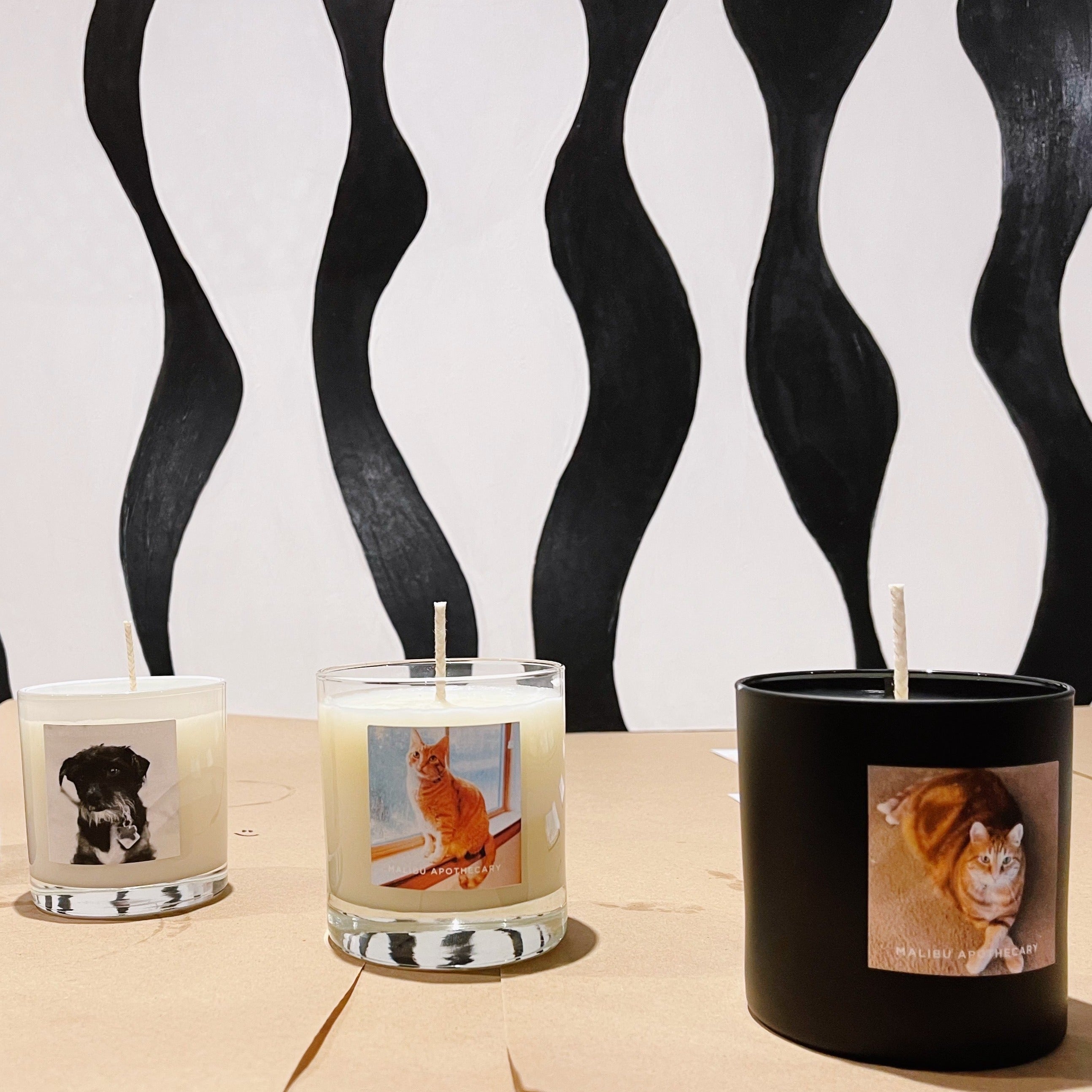 Custom candles of dogs, names, and pets that are perfect for gifts, birthdays, bachelorette parties, and more.