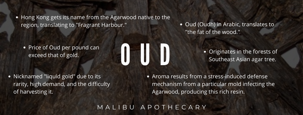 What is Oud and what does it smell like? 6 fast facts about oud