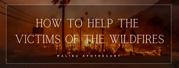 How to help the victims affected by the Los Angeles Wildfires