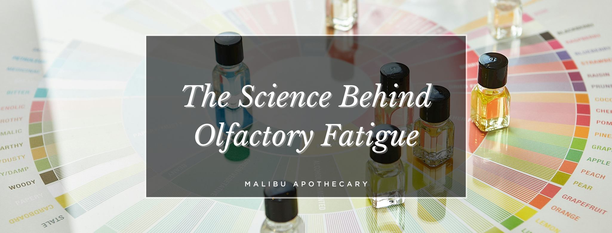 The Science Behind Olfactory Fatigue: Why You Stop Smelling a Scent