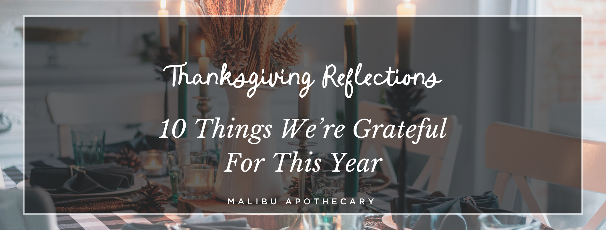 Thanksgiving Reflections: 10 Things We’re Grateful for This Year