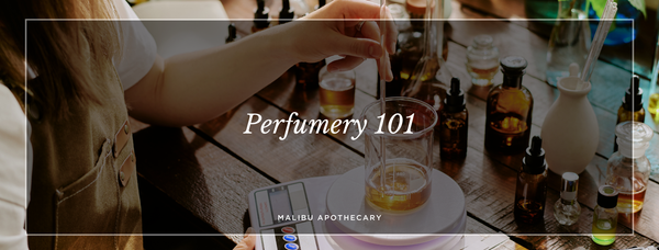 Perfumery 101 the basics of fragrance and perfumery composition