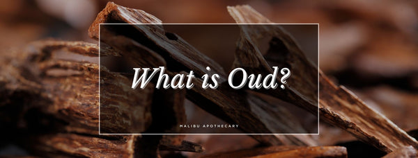 Close-up of rich, dark agarwood pieces used to produce oud fragrance – hero image for Malibu Apothecary’s blog explaining what oud is and what it smells like
