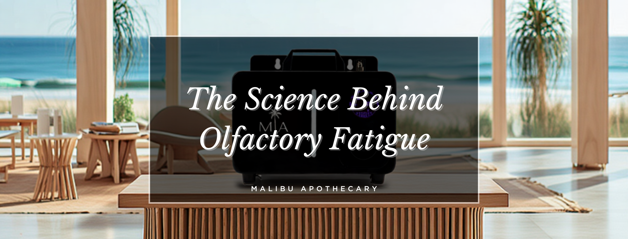 Why Do Hotels Smell So Good? The Secret of Scent Branding