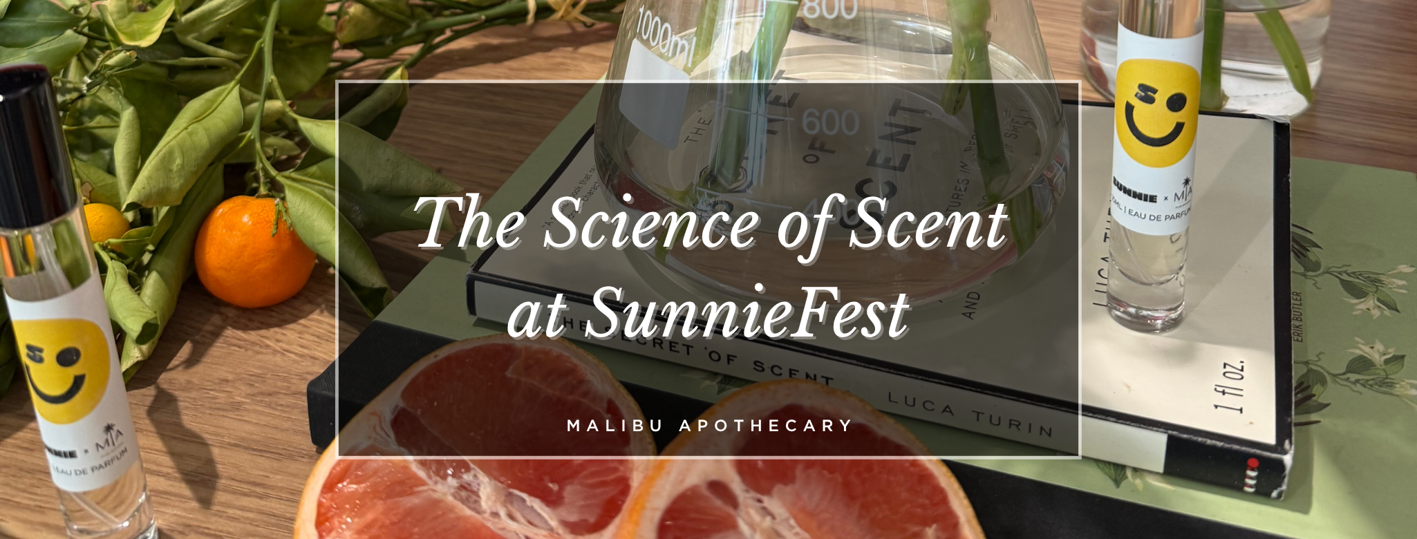 The Science of Scent at SunnieFest: Inspiring Girls to See Themselves in STEM Through Fragrance