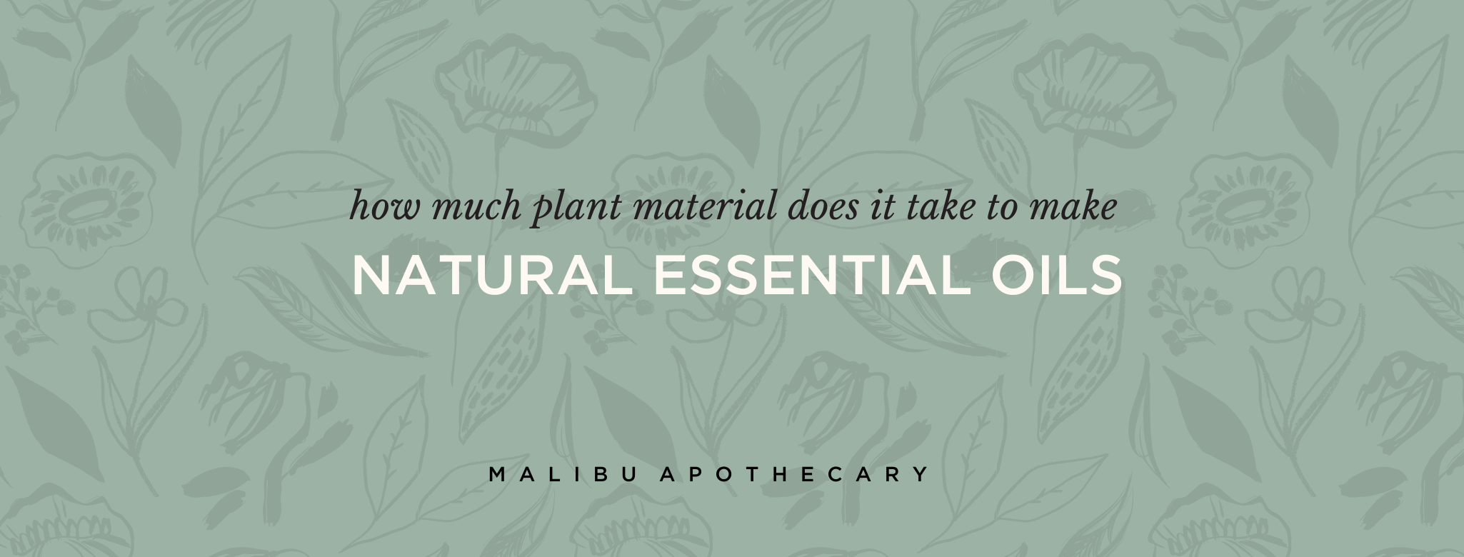What is the yield or How much natural plant material does it take to create natural essential oil.