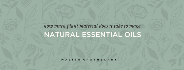 What is the yield or How much natural plant material does it take to create natural essential oil.