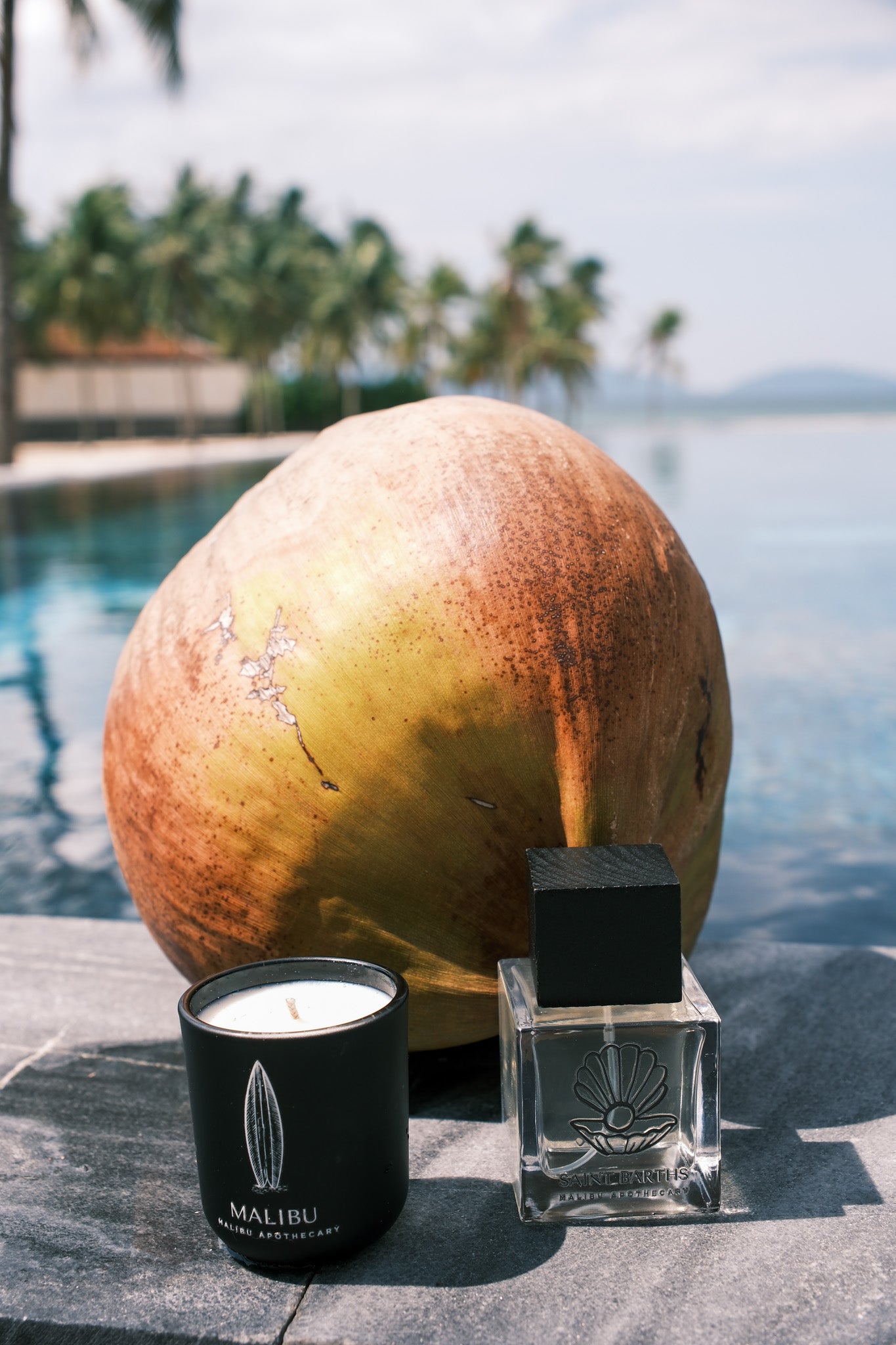 A luxury Malibu candle in a matte black jar and a clear glass perfume bottle with a black cap, styled on a stone surface next to a giant coconut with a swimming pool and palm trees in the background.