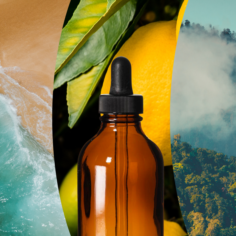Design a Signature Scent