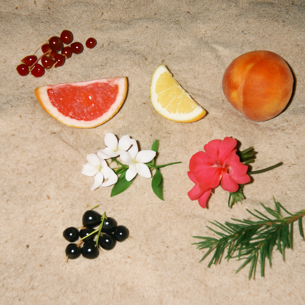 ABACO candle fragrance ingredients by Malibu Apothecary displayed on sand, featuring red currant, grapefruit, lemon peel, jasmine, geranium, peach, black currant, and Abaco pine. A bright, tart, and floral Caribbean-inspired scent crafted with clean coconut and soy wax.