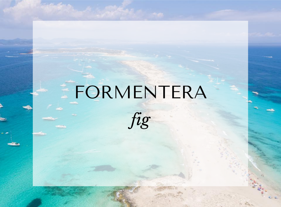 Formentera fig candle scent card by Malibu Apothecary, featuring a scenic aerial view of Formentera's turquoise waters and white sand beaches. This luxury candle highlights fig, freesia, jasmine, and moss in a clean, phthalate-free, coconut and soy wax blend.