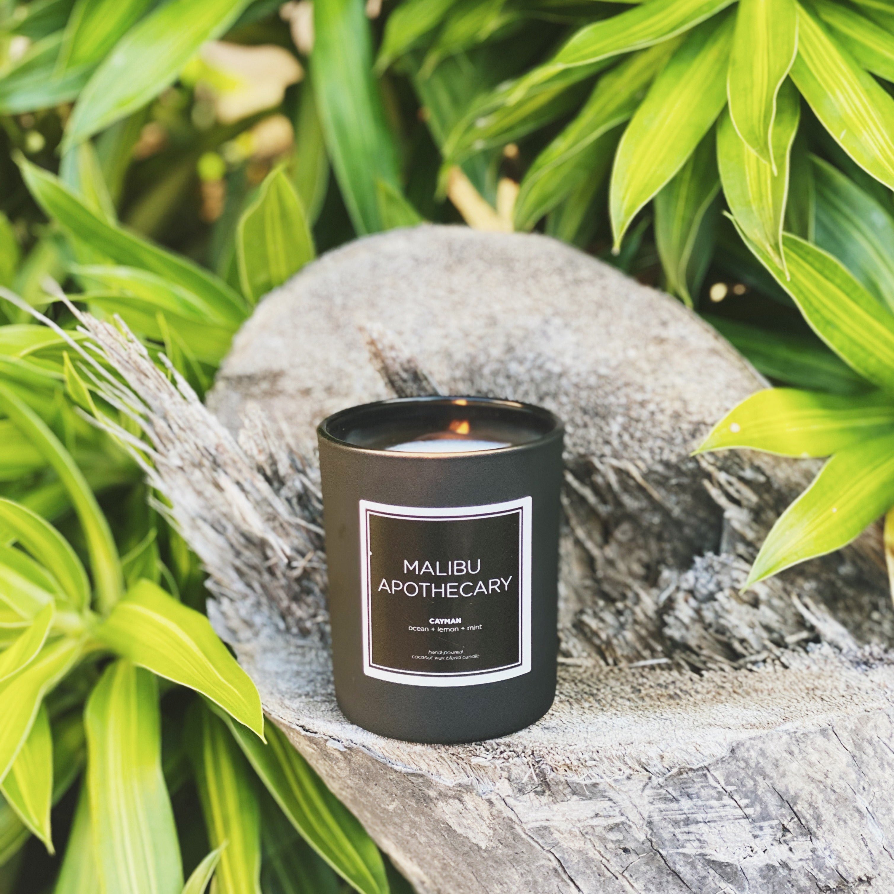 Mini matte black Malibu Apothecary candle burning on driftwood surrounded by lush palm leaves in a Cayman Islands setting, made with all natural coconut and soy wax