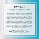  Cayman islands inspired beach candle with notes of sea salt, lemon, ocean, mint, eucalyptus, spearmint, oakmoss, egyptian mint